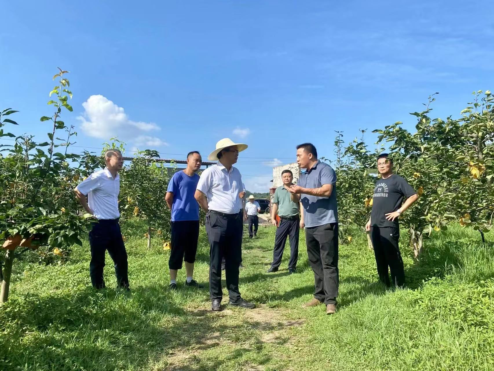 ����Є�(chu��ng)�l(f��)���F(tu��n)���ط���_(k��i)չ�F(xi��n)��(ch��ng)�{(di��o)��